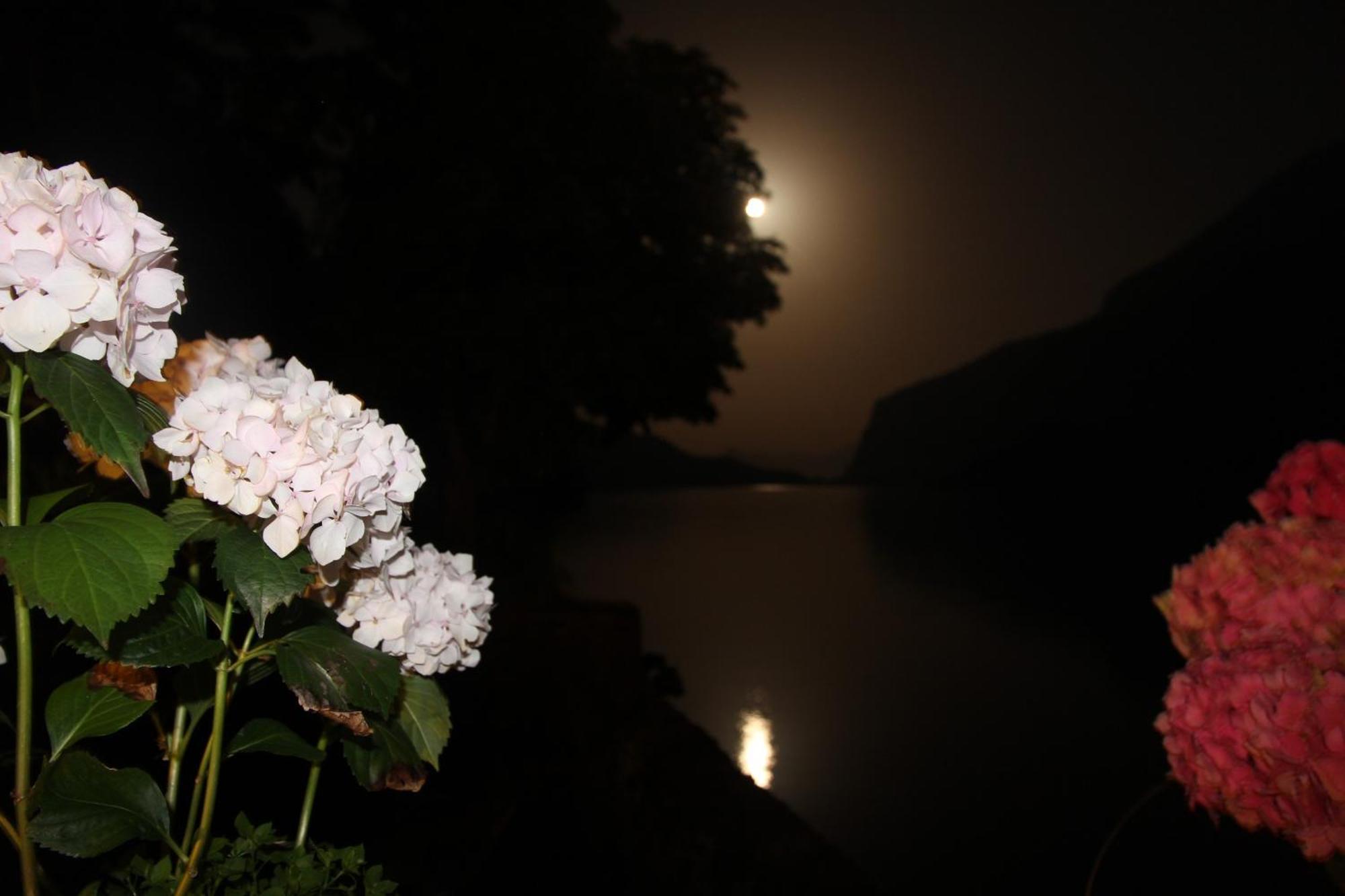 Lago Park Hotel Molveno Ngoại thất bức ảnh